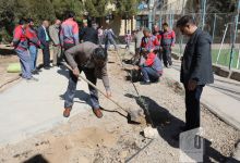 گزارش تصویری مراسم روز درختکاری